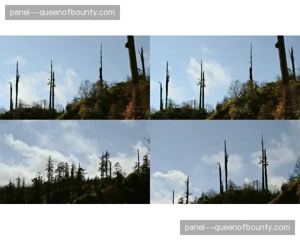 高帧率捕捉单元在现阶段成为标配，为深度慢动作分析提供了扎实的原始素材